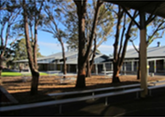 This photo shows the existing mature trees which provide a shady spot to sit. This photo was from Illawarra and South East Region.
