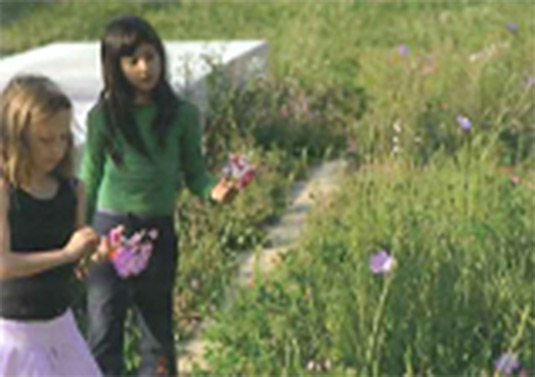 This photo shows how school grounds can provide opportunities for students to learn about natural systems. 