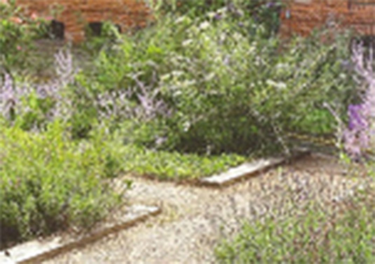 This photo shows Sensory Gardens which provide opportunities for developing the senses. This photo is taken from the Kultur Garten in Berlin.
