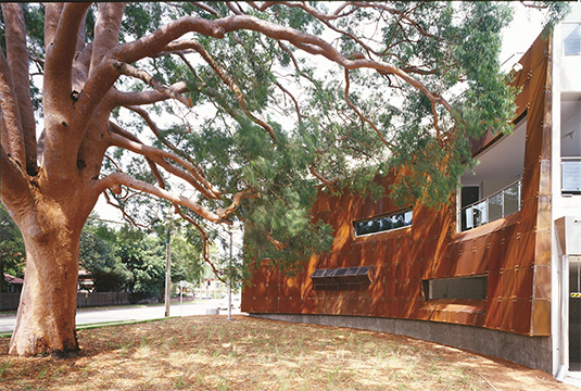 This photo shows a building's response to the existing Smooth-barked Apple (Angophor Costata) tree. This photo is taken from the Chatswood Police Station.