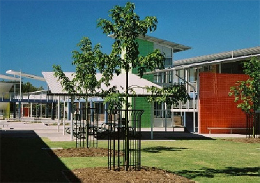 This photo shows trees which are protected by tree guards. This photo was taken in the North Coast Region. 