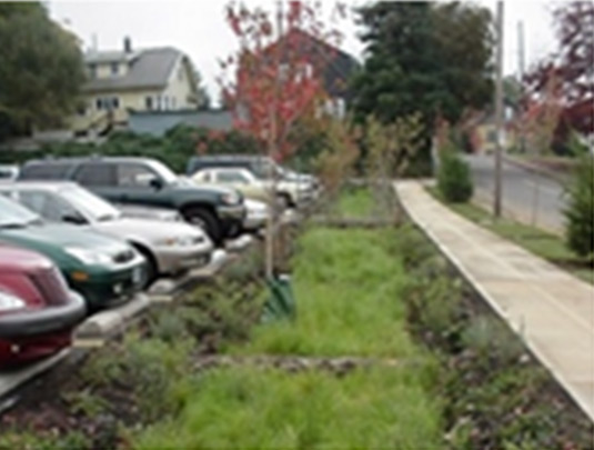 This photo shows bio-swales as a cost-effective and attractive means to capture, direct and filter runoff and overland flow. 